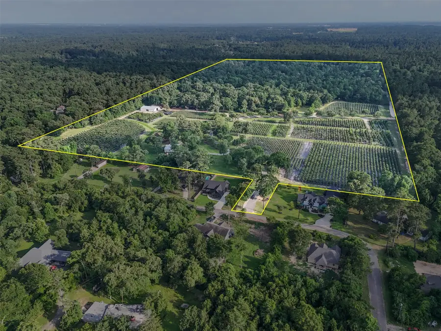 15629 Knotty Oaks Trail, Magnolia, TX 77355 - #2