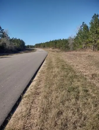 16012 Wood Grove Way, Willis, TX 77378 - Image #1