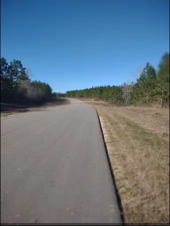 16012 Wood Grove Way, Willis, TX 77378 - Image #3