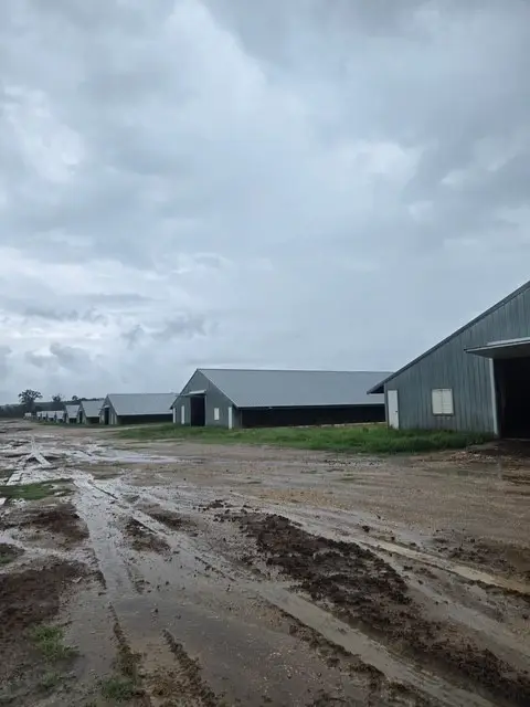 399 Pr 7110, San Augustine, TX 75972