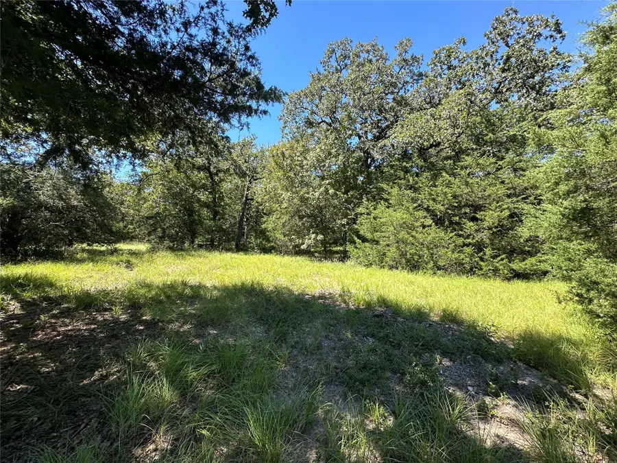 TBD Tract #1 County Road 481, Centerville, TX 75833 - Image #2