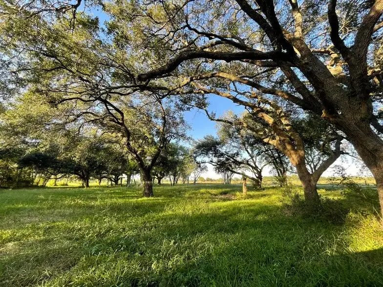 4903 Davenport Parkway, Rosharon, TX 77583 - #3