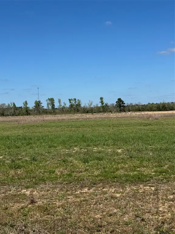 482 County Road 2278, Cleveland, TX 77327 - #2