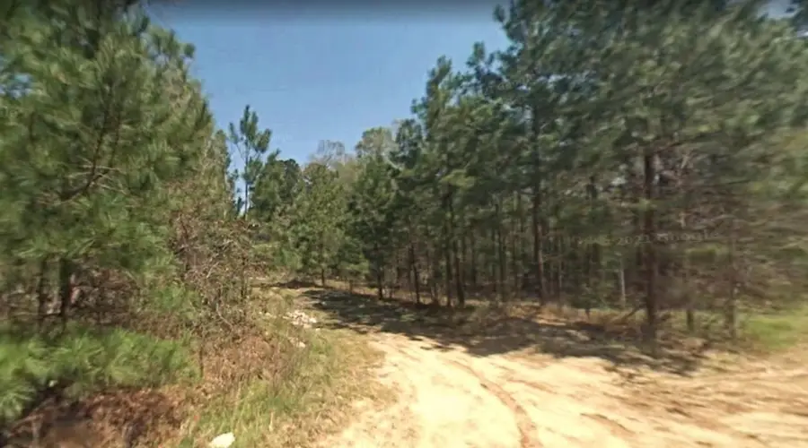 0 Fourth Street, Livingston, TX 77351 - #3