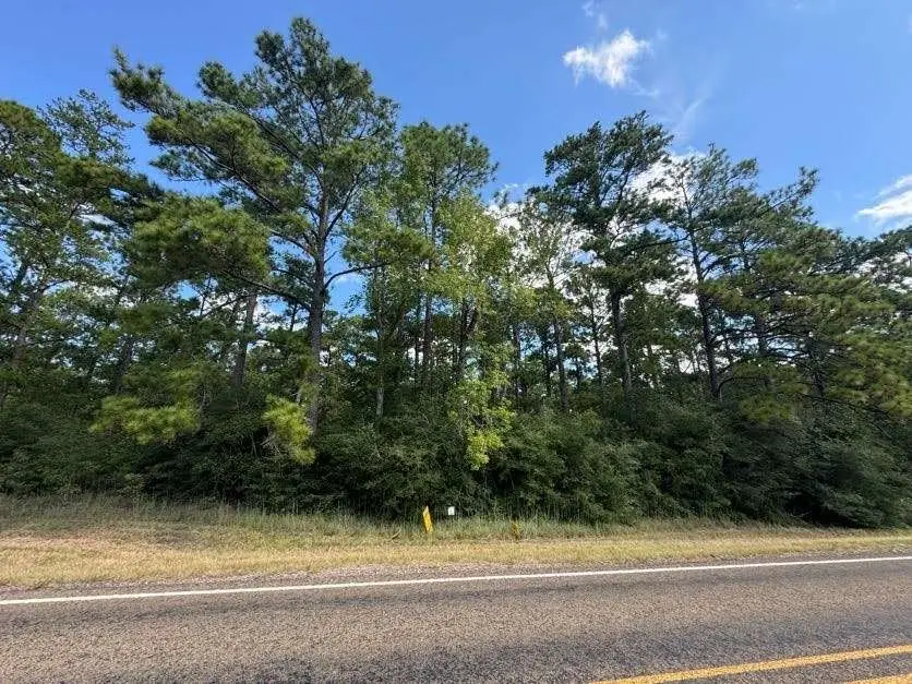 2940 Sam Rayburn Parkway, Brookeland, TX 75931 - Image #3