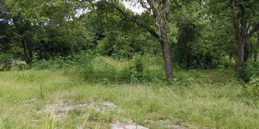 300 N Austin Street, Wolfe City, TX 75496 - Image #2