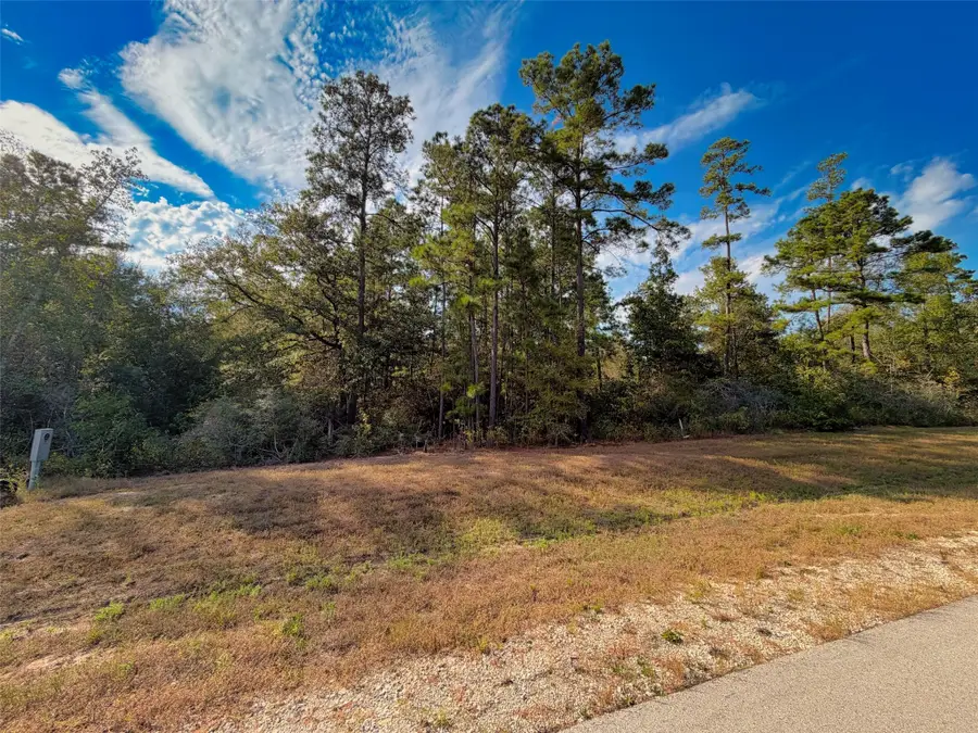 329 Exploration Road, Willis, TX 77378 - #3