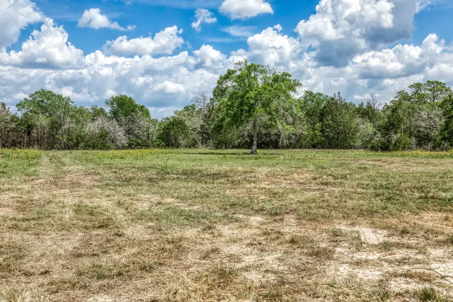 Parcel 3 Fm 1697, Carmine, TX 78932 - #3