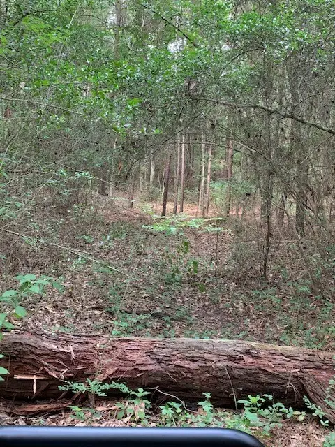 00 Bailey Grove Road, Montgomery, TX 77356 - #2