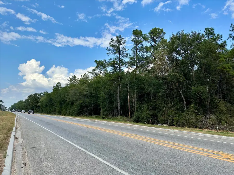 7825 S Fm 1486, Montgomery, TX 77316 - #2