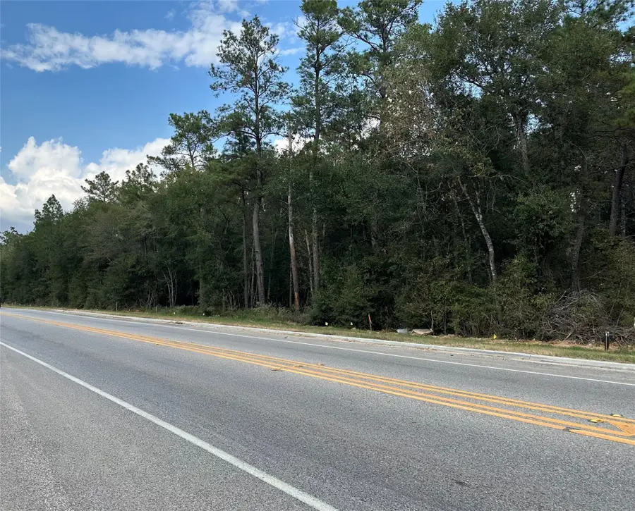 7825 S Fm 1486, Montgomery, TX 77316 - #3