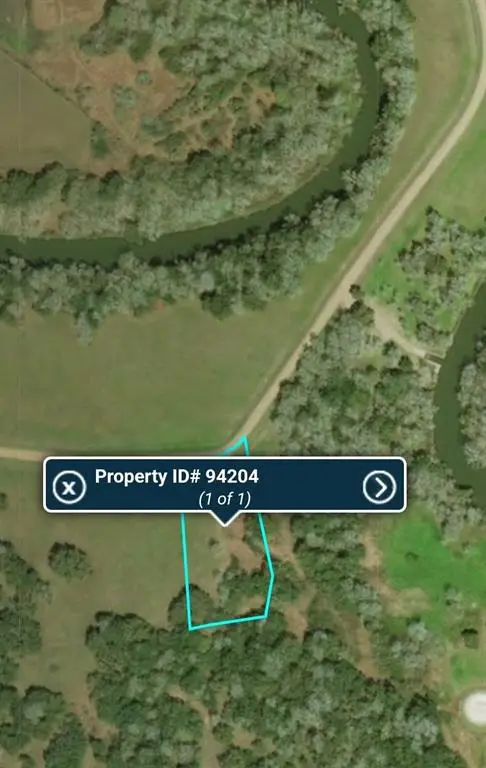 90 River Tree Drive, Blessing, TX 77419 - Image #2