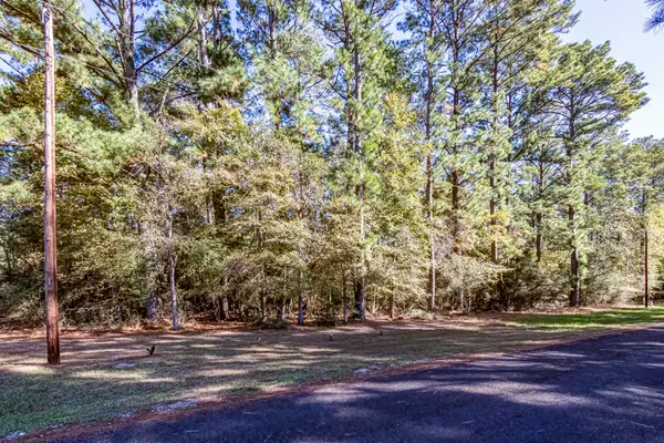 TBD Mockingbird Hills, Livingston, TX 77351