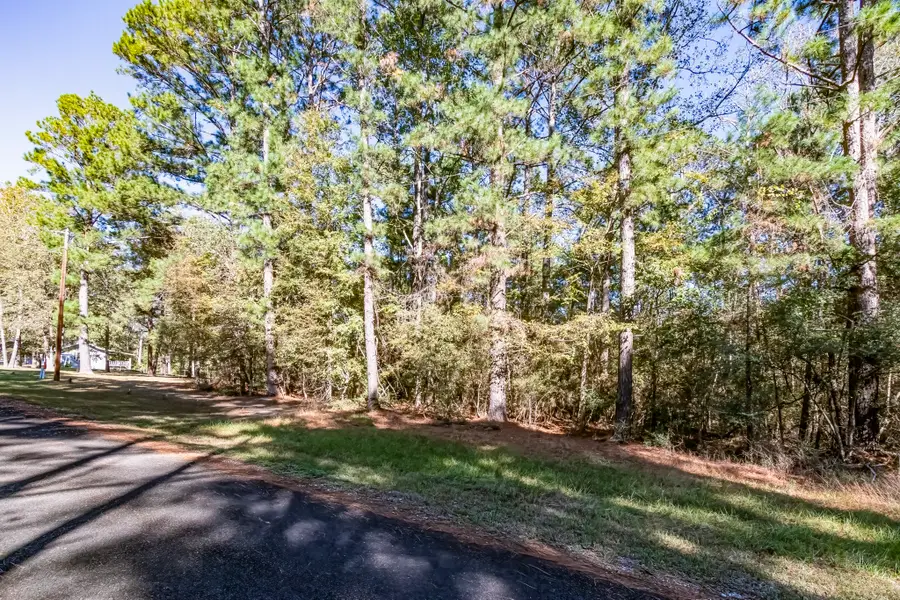 TBD Mockingbird Hills, Livingston, TX 77351 - Image #2