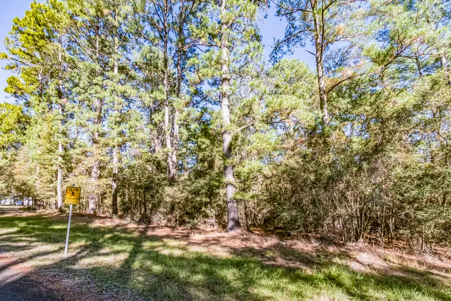 TBD Mockingbird Hills, Livingston, TX 77351 - Image #3