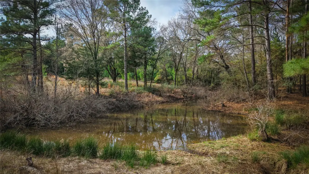 (39.15 acres) 12868 County Road 122, Centerville, TX 75833 - #1