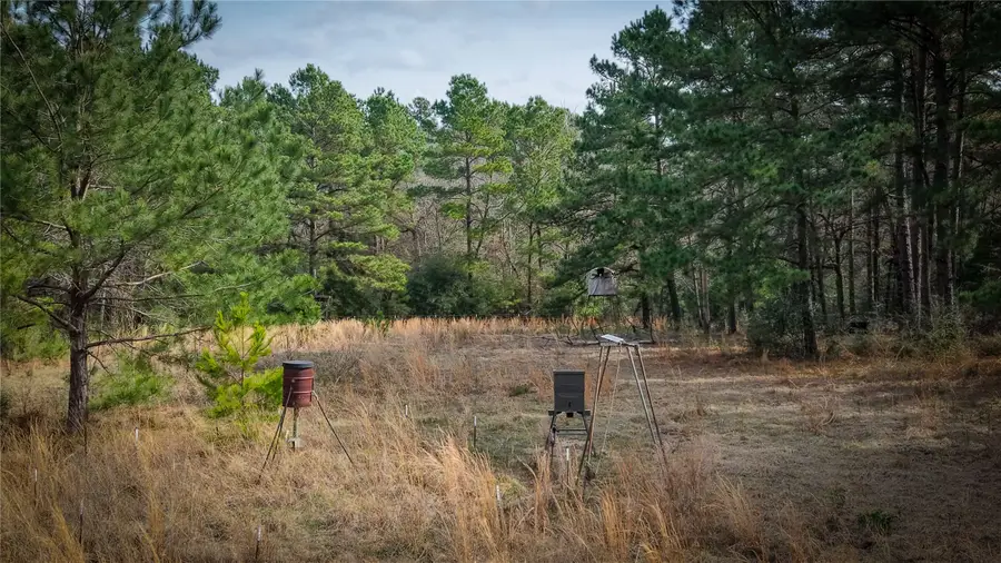 (39.15 acres) 12868 County Road 122, Centerville, TX 75833 - #2