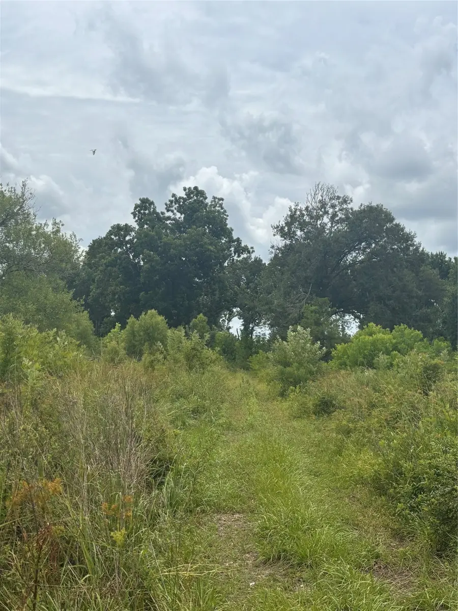 2386 Sh 105 E, Liberty, TX 77575 - Image #2