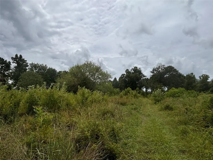 2386 Sh 105 E, Liberty, TX 77575 - Image #3