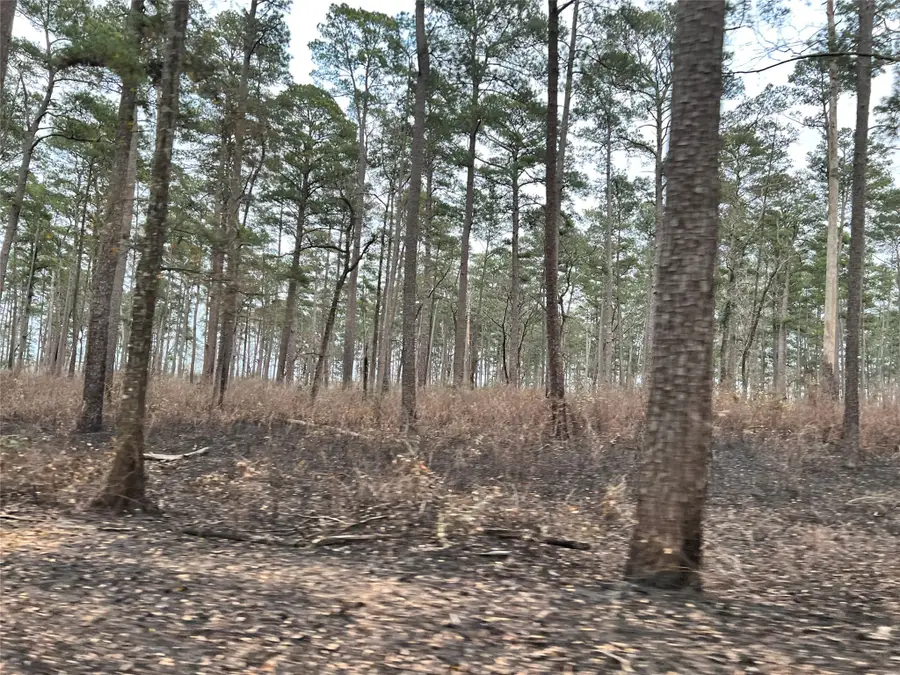 TBD lot 180b Morgan Whatley Road, Montgomery, TX 77056 - Image #3