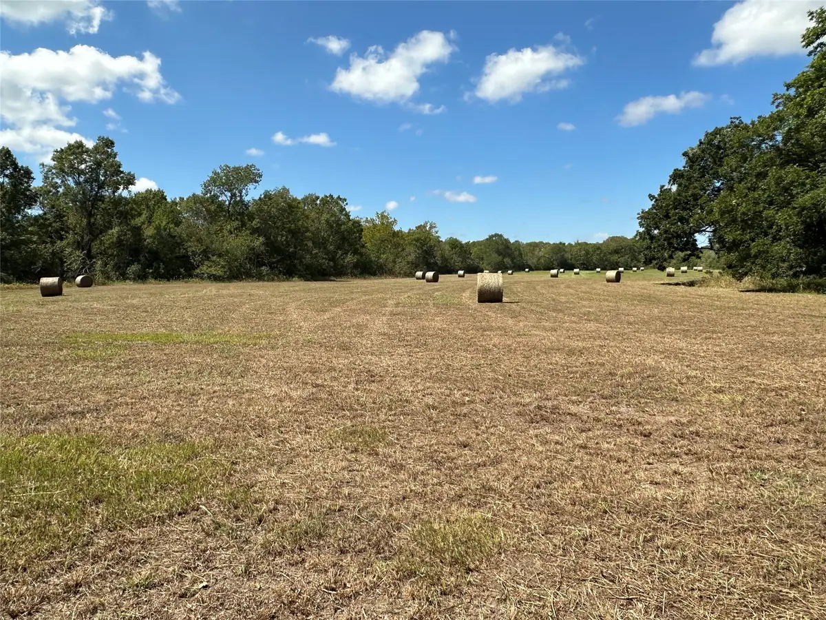 0 Fm 1774, Plantersville, TX 77363 - #1
