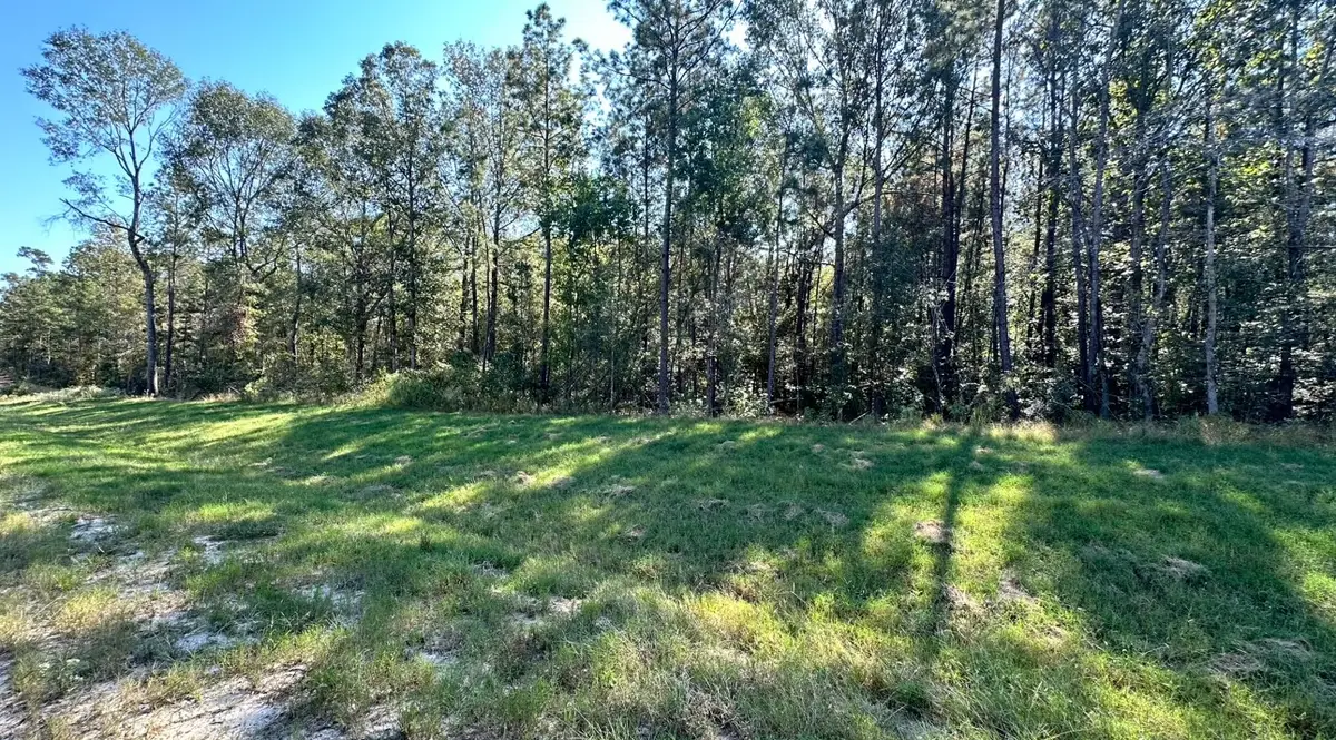 11530 E Bramble Court, Willis, TX 77378 - #1