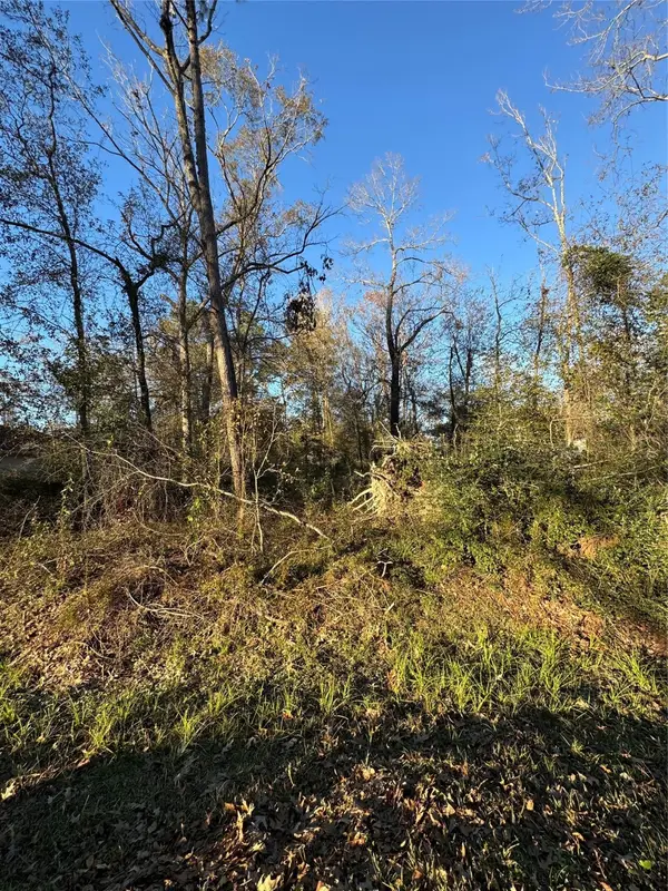 307 Magnolia Bend Drive, New Caney, TX 77357