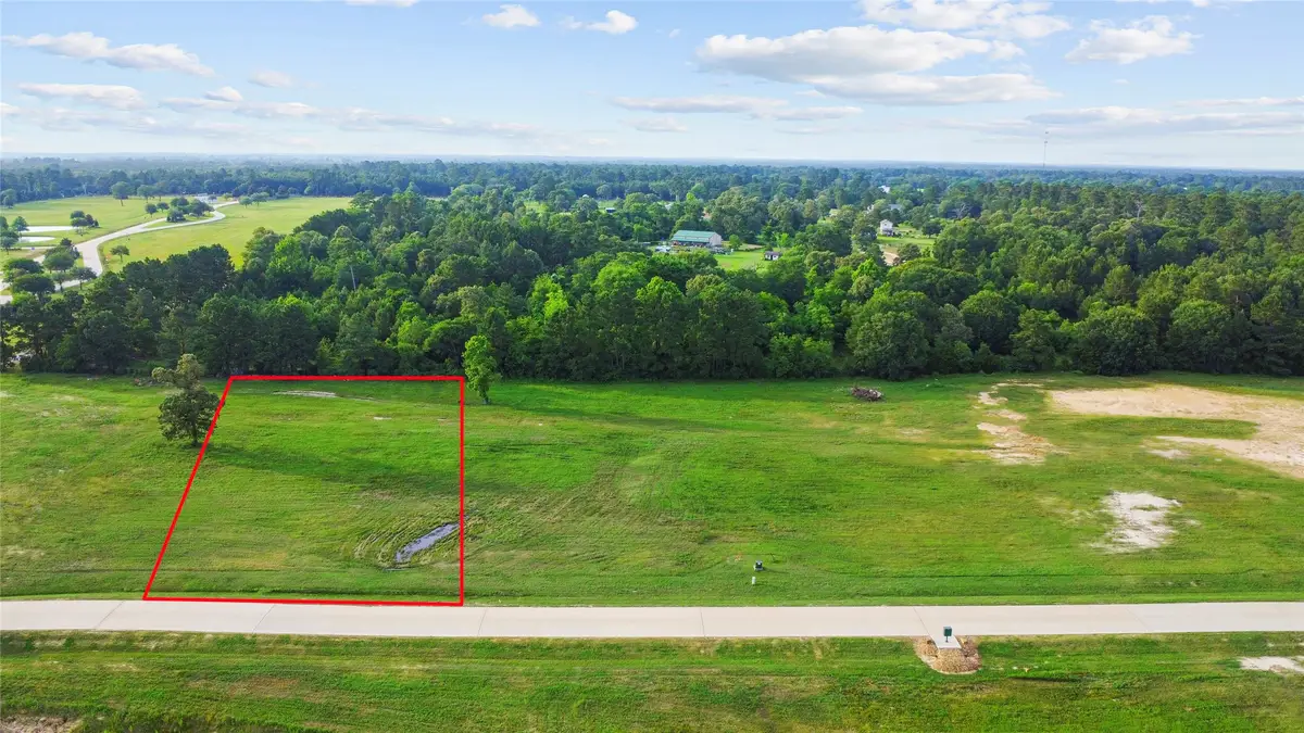 2407 Emerie Arbor Lane, Hockley, TX 77447 - Image #1