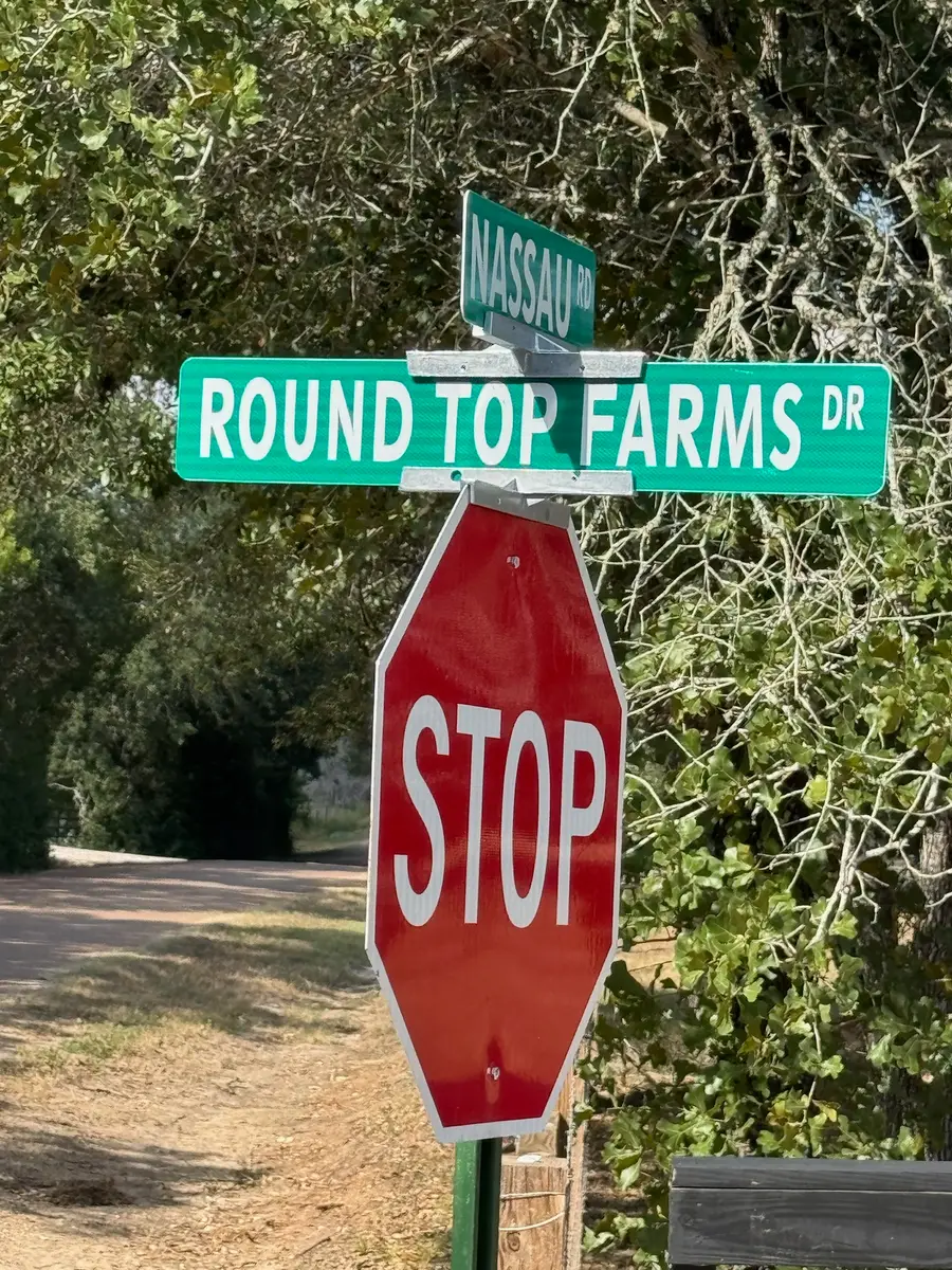 8 Round Top Farms Drive, Round Top, TX 78954 - #2