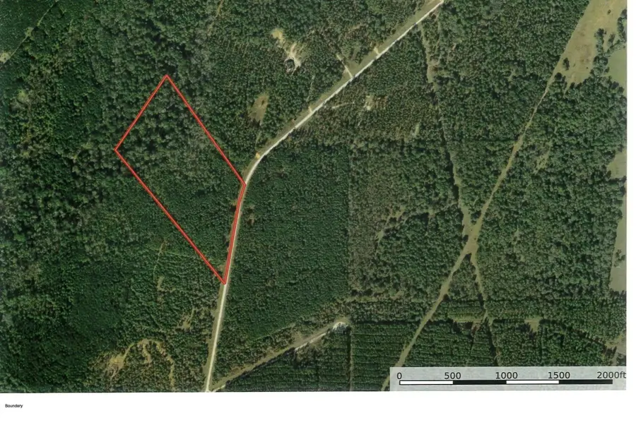Tract 18 Pr 8160, Lovelady, TX 75851 - #2