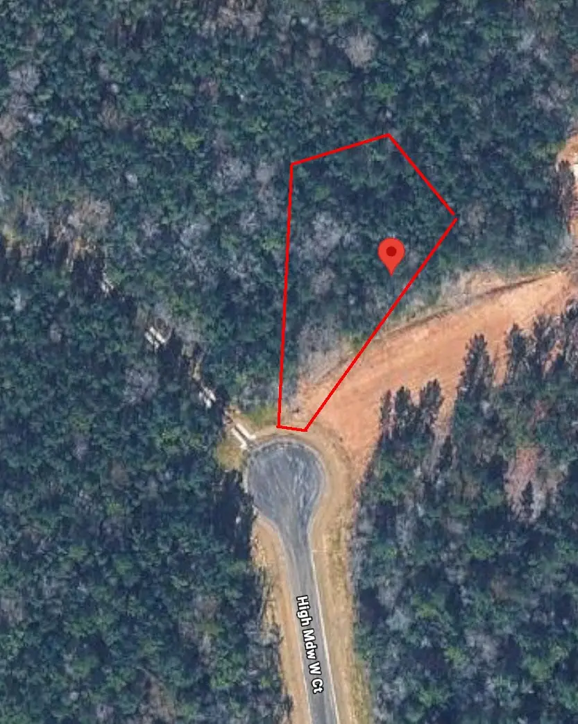 4601 High Meadow West Court, Montgomery, TX 77316 - #1