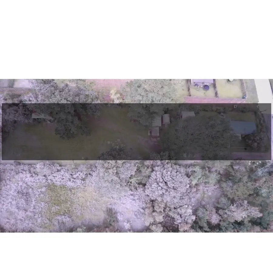 409 1st Street, Willis, TX 77378 - Image #2