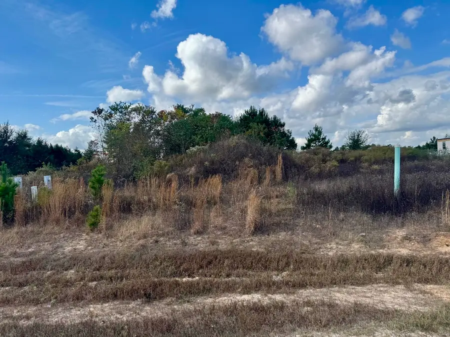 1035 Road 5704, Cleveland, TX 77327 - #3