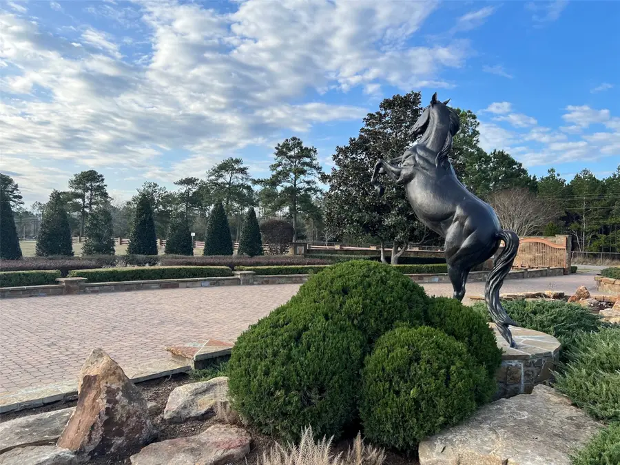 2315 Iris Cove Court, Hockley, TX 77447 - Image #3