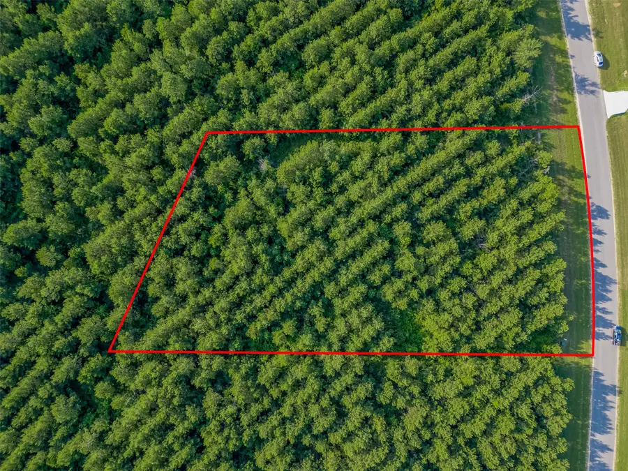 15743 Wooded Trail Way, Willis, TX 77378 - Image #2