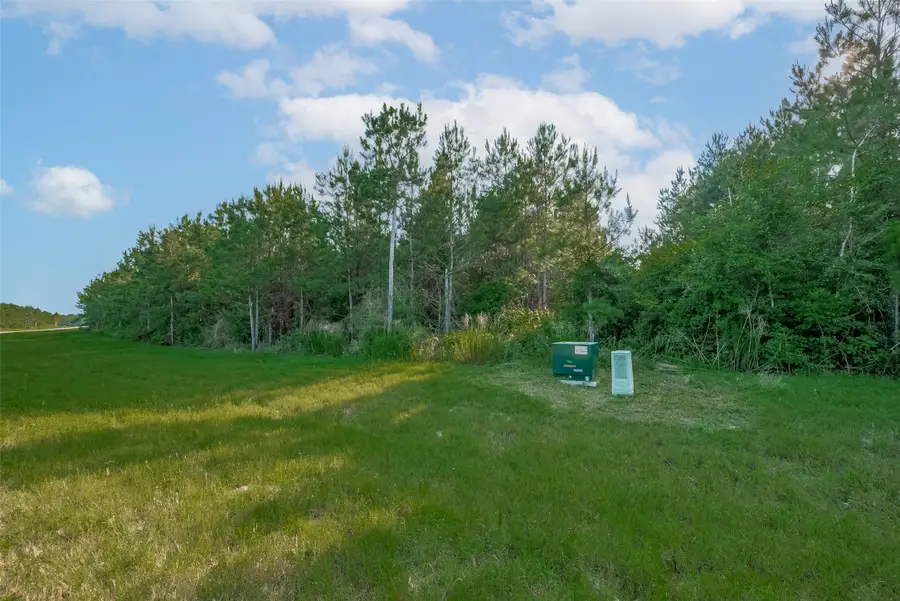 15743 Wooded Trail Way, Willis, TX 77378 - Image #3