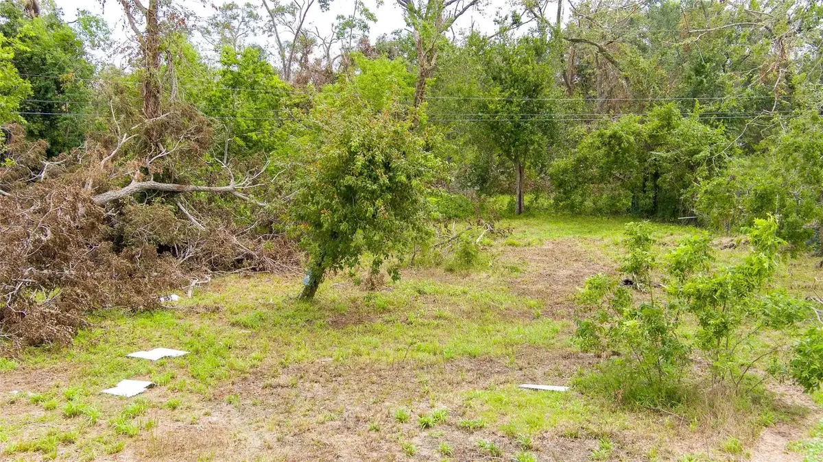 131 Coker Street, Jones Creek, TX 77541 - Image #1