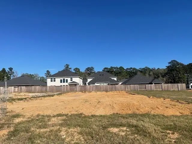 15110 Bank Swallow Place, Magnolia, TX 77354 - Image #2