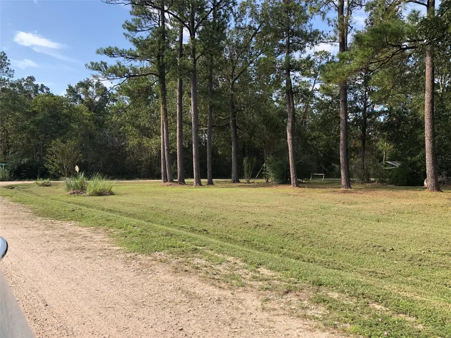 523 Petersburg Drive, Goodrich, TX 77335 - Image #2