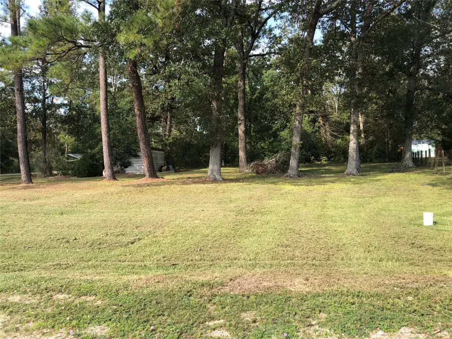 523 Petersburg Drive, Goodrich, TX 77335 - Image #3