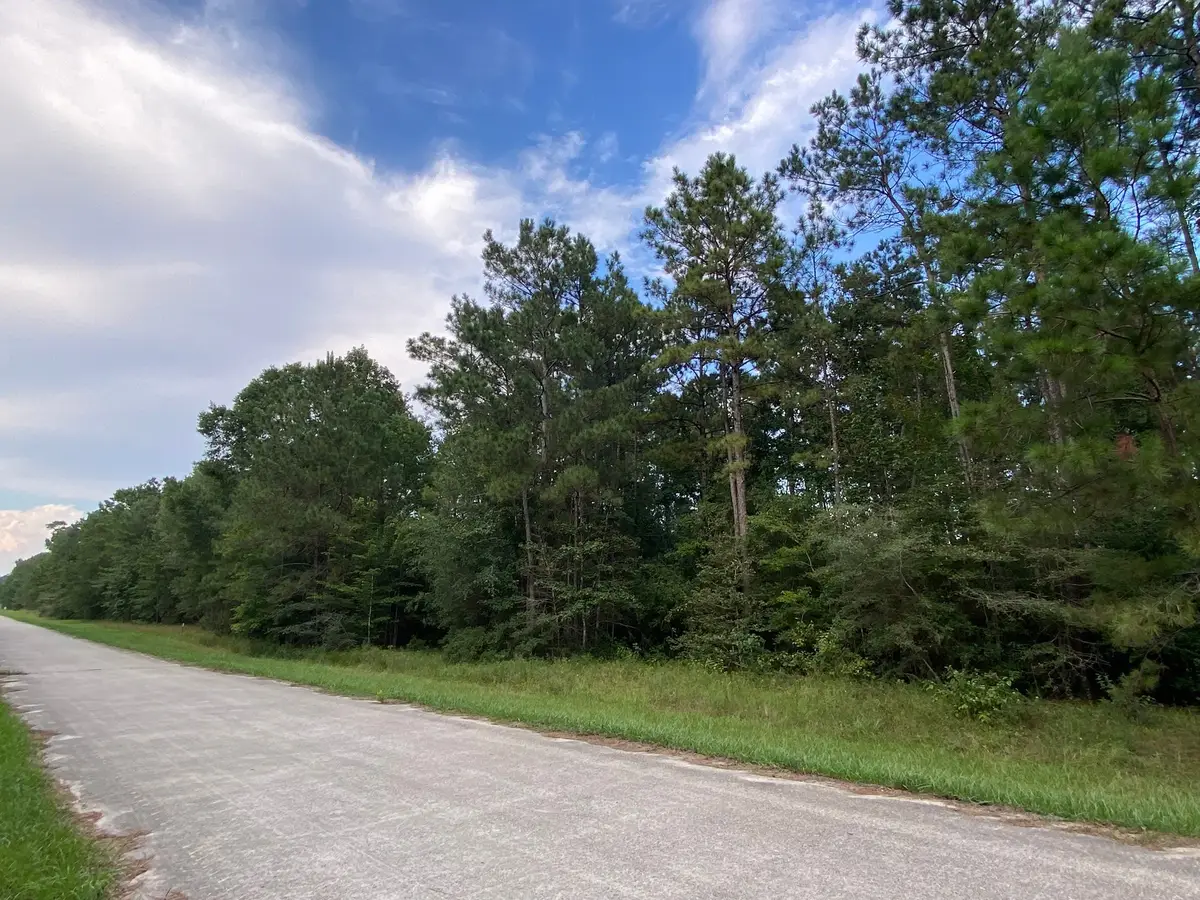 721 Big Buck Drive, Shepherd Evergreen, TX 77328 - Image #1