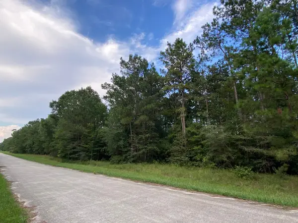 721 Big Buck Drive, Cleveland, TX 77328