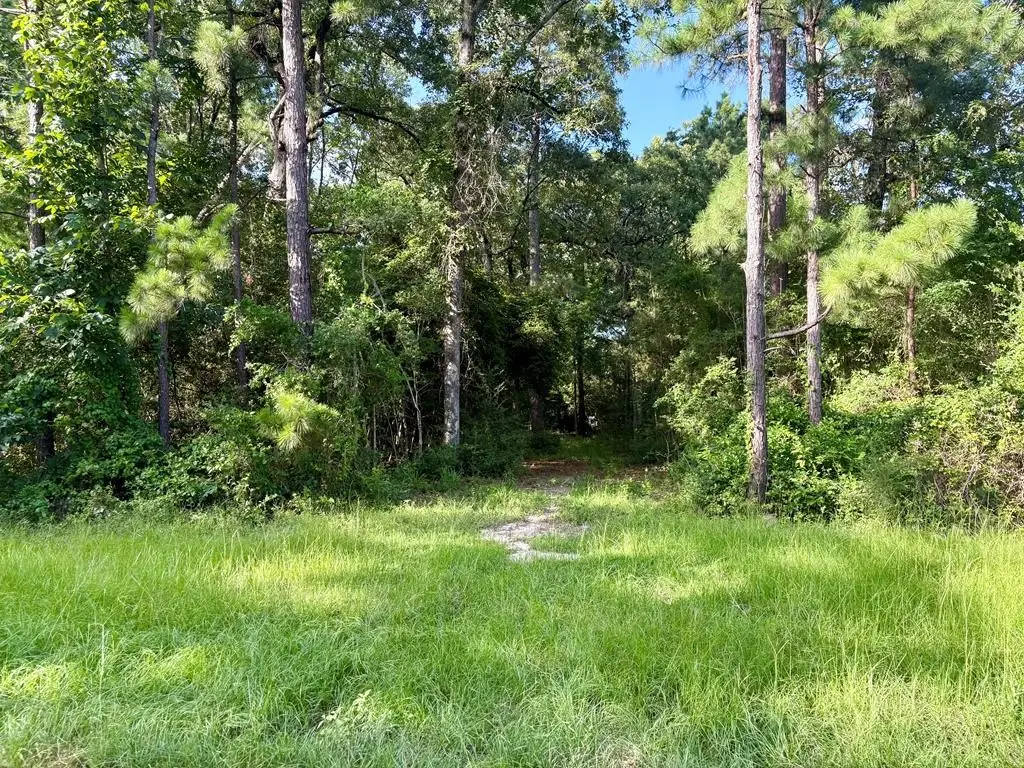 139 Oak Ridge Street, Huntington, TX 75949 - #1
