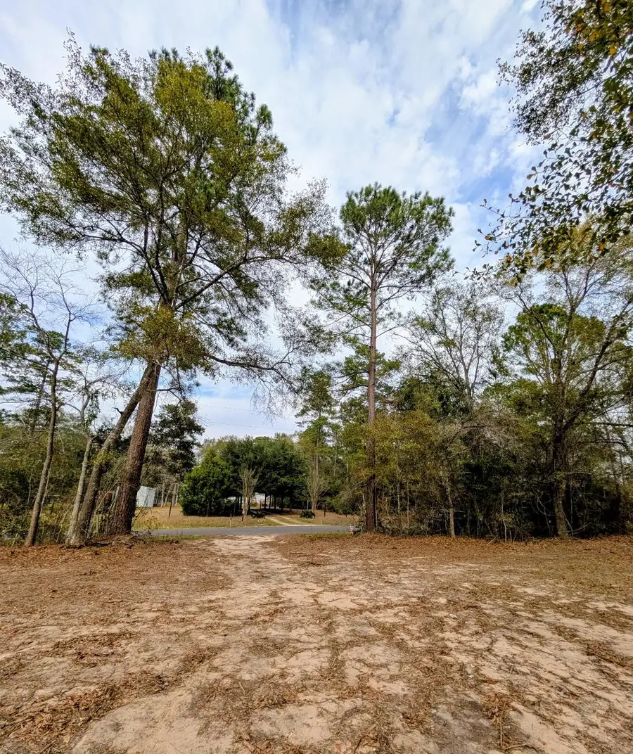 5544 Tall Pine Road, Navasota, TX 77868 - Image #3