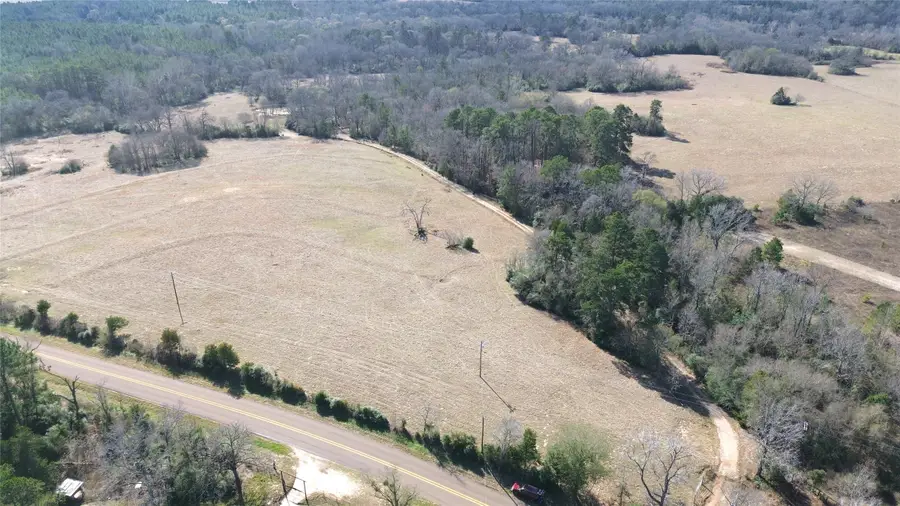 TBD Fm 1272, Grapeland, TX 75844 - Image #2