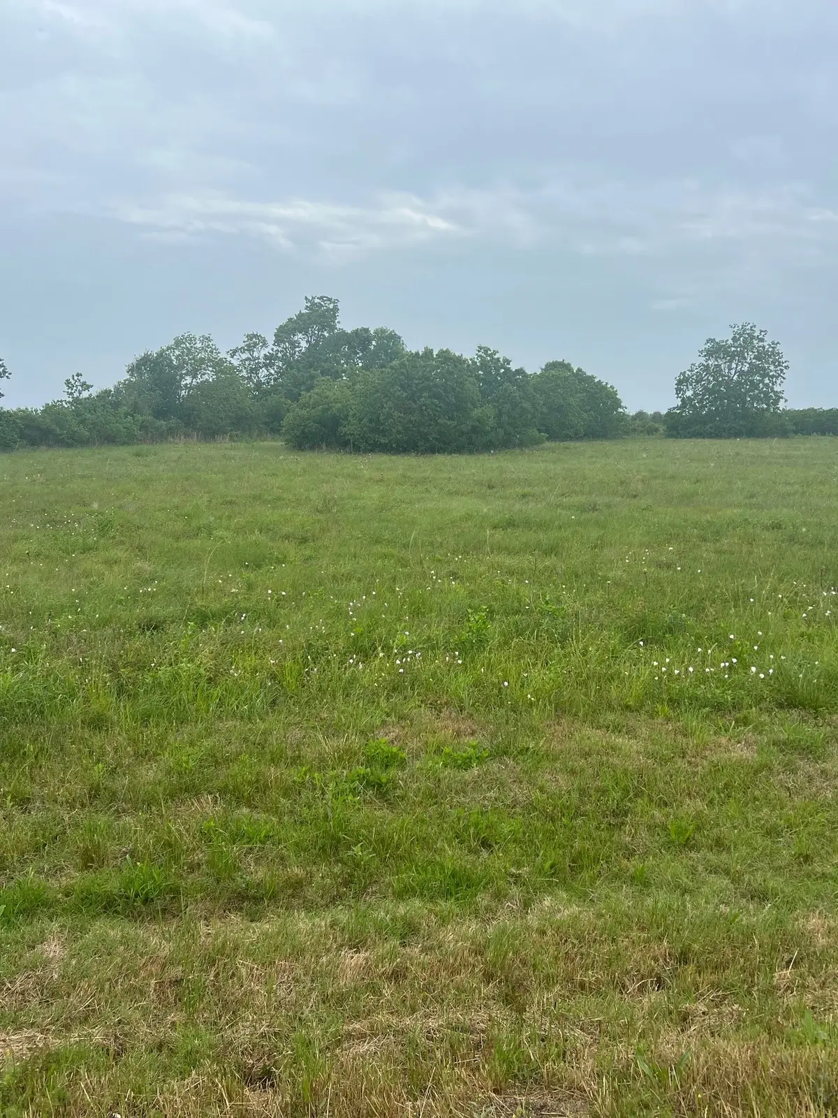 6180 County Road 208, Danbury, TX 77534 - #1