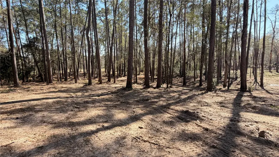 0 Michael Drive, Magnolia, TX 77355 - #2