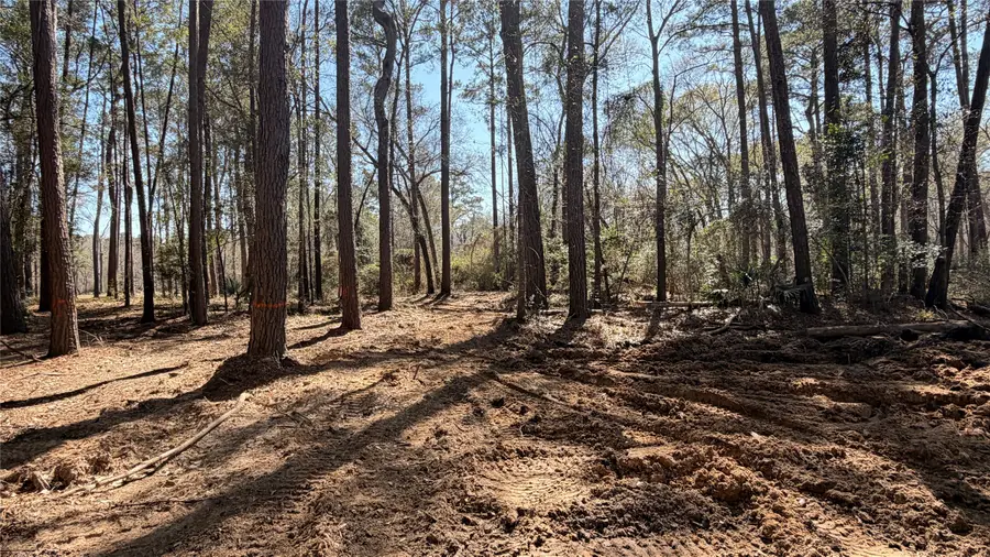 0 Michael Drive, Magnolia, TX 77355 - #3