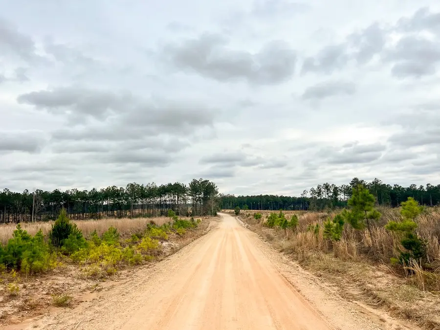 1B Hardin Hideout Rd, Moscow, TX 75960 - #3