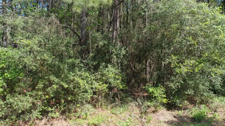 5745 County Road 302, Navasota, TX 77868 - Image #3